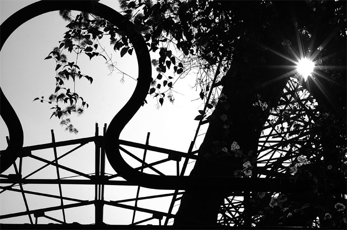 Controluce